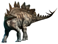 Le stegosaurus
