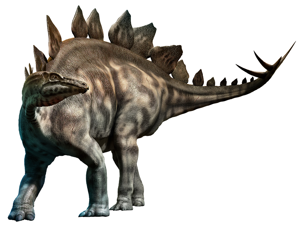 stegosaurus