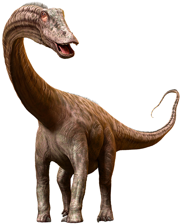 Le Seismosaurus 