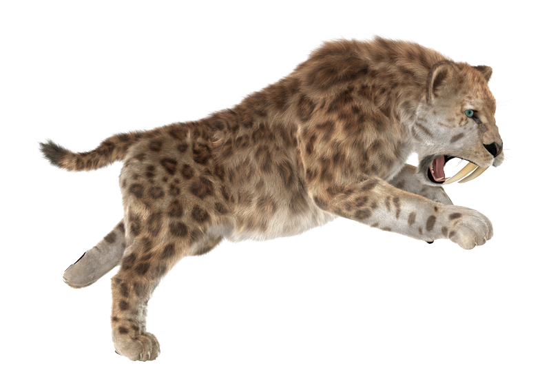 smilodon